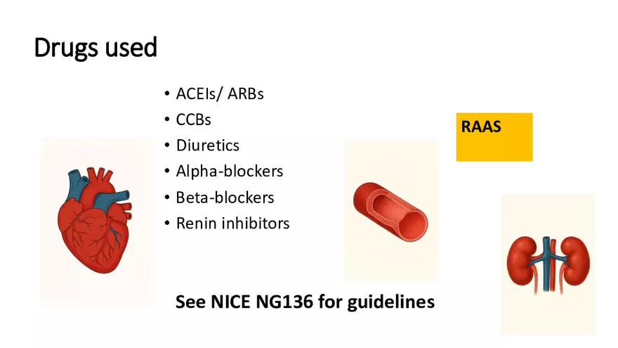 Cardiovascular TBL Сycle - Page 57