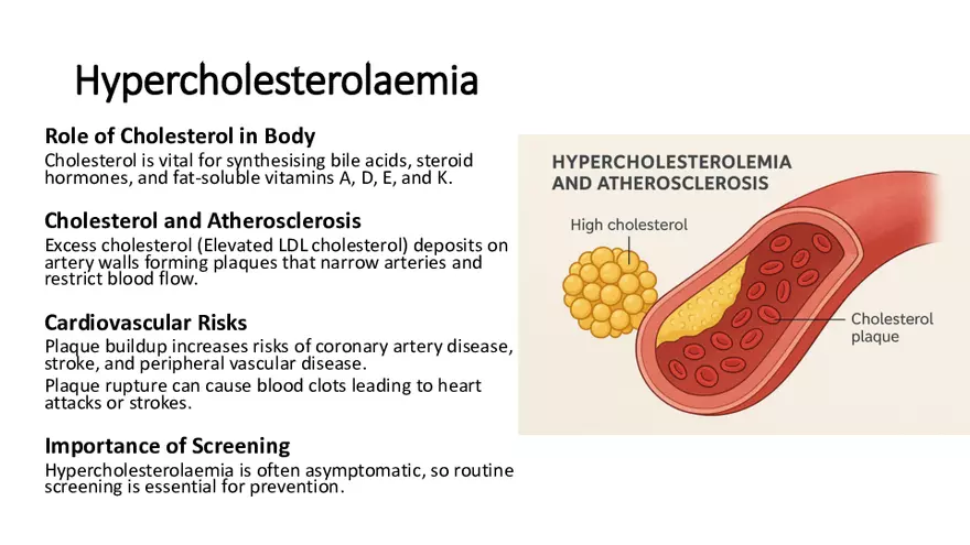 Cardiovascular TBL Сycle - Page 5