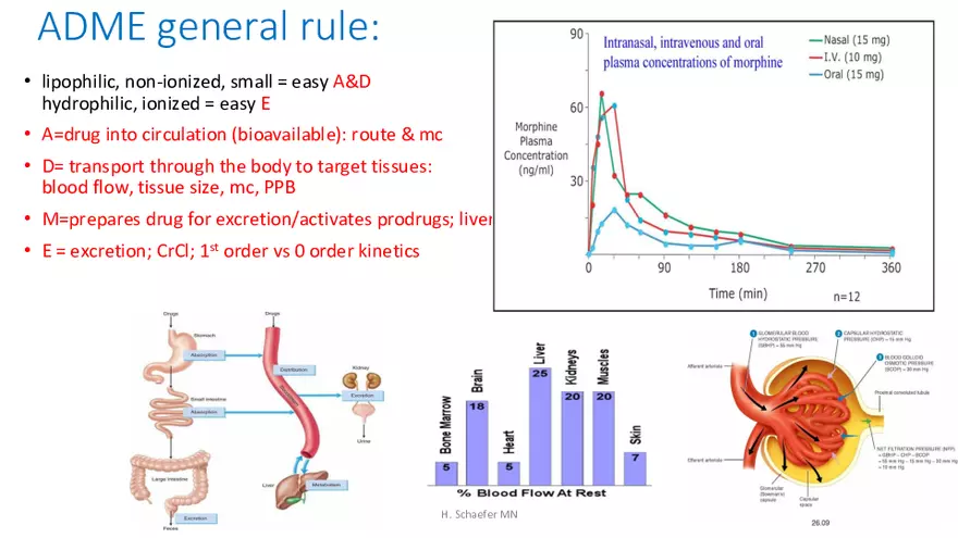 Pathophysiology and Pharmacology Lecture 1 - Page 9