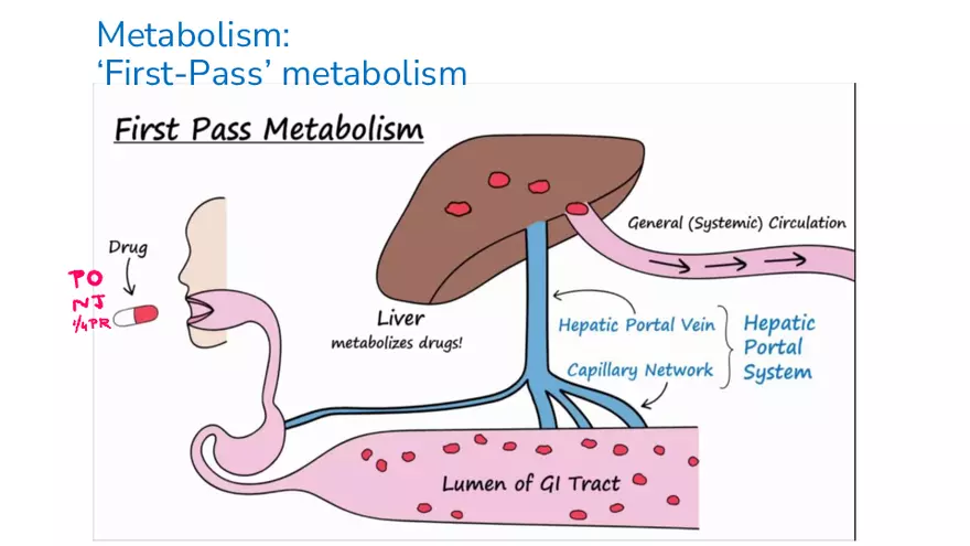 Pathophysiology and Pharmacology Lecture 1 - Page 10
