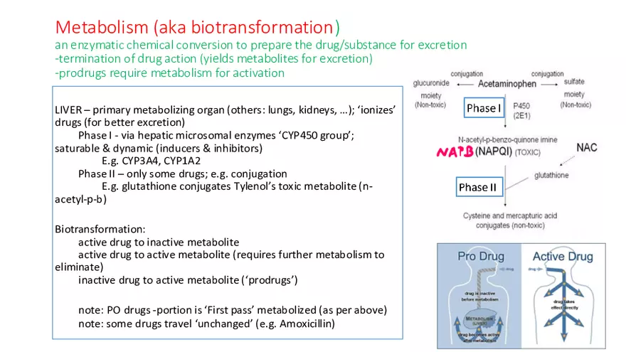 Pathophysiology and Pharmacology Lecture 1 - Page 16