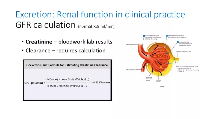 Pathophysiology and Pharmacology Lecture 1 - Page 20