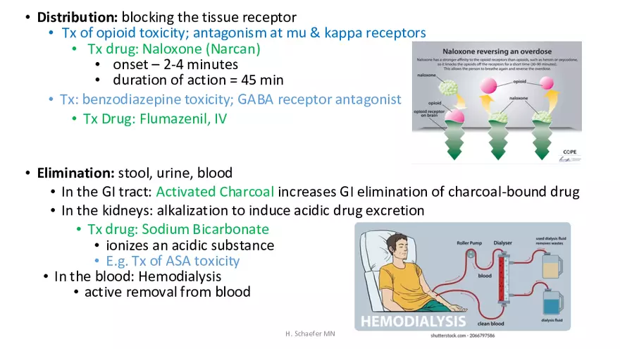 Pathophysiology and Pharmacology Lecture 1 - Page 39