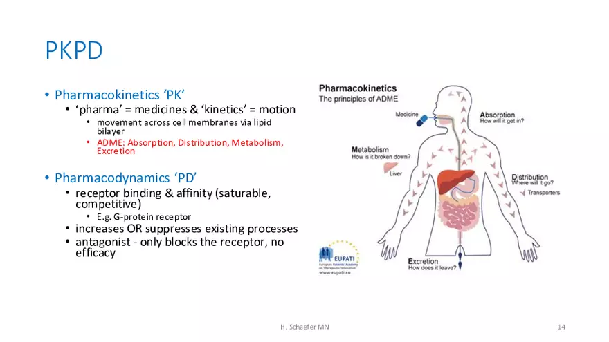 Pathophysiology and Pharmacology Lecture 1 - Page 6