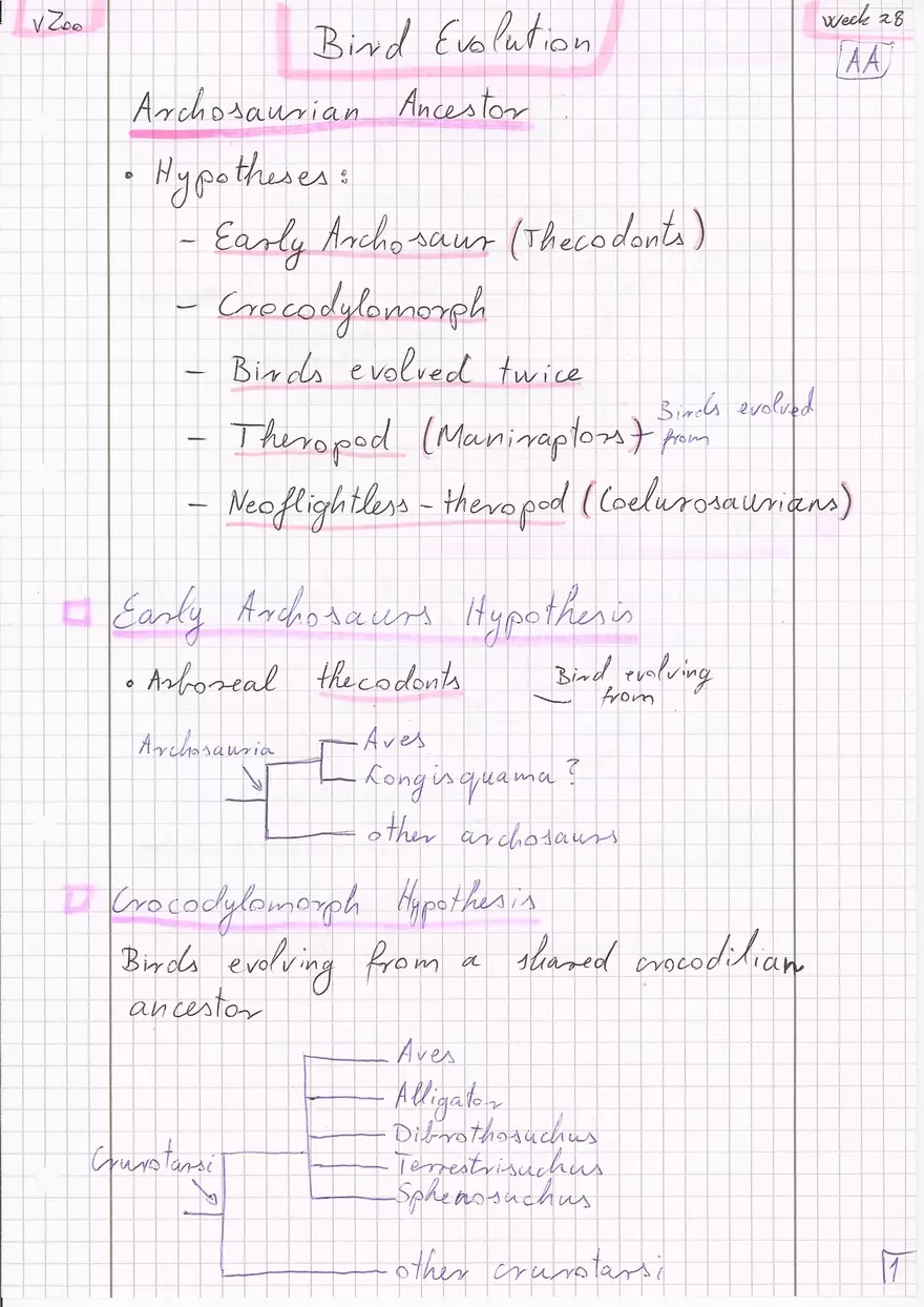 Bird Evolution - Page 1