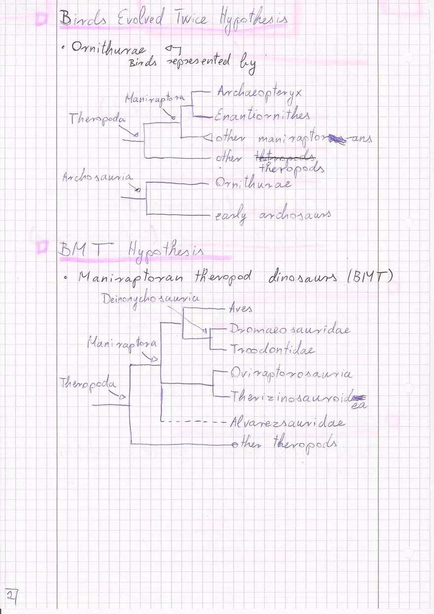 Bird Evolution - Page 2