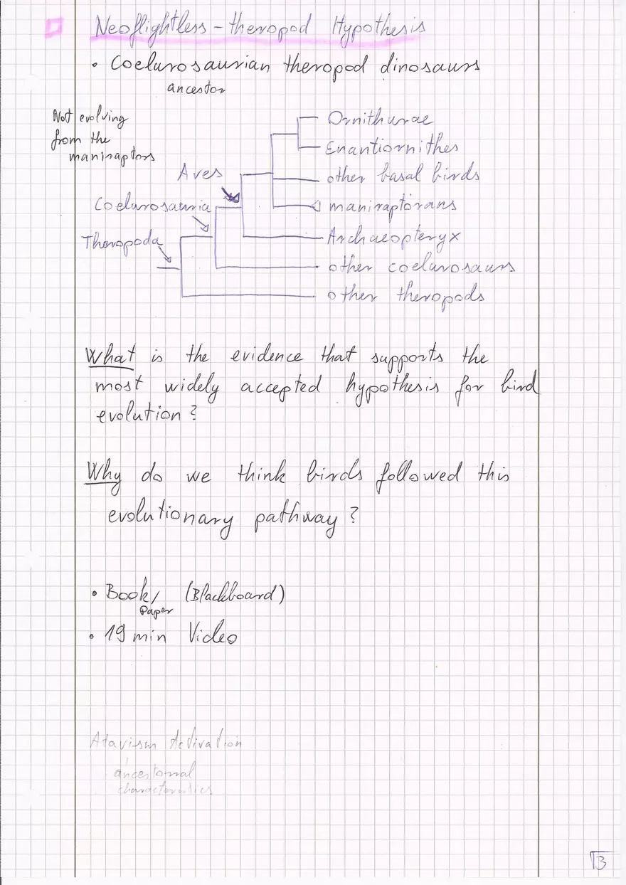 Bird Evolution - Page 3