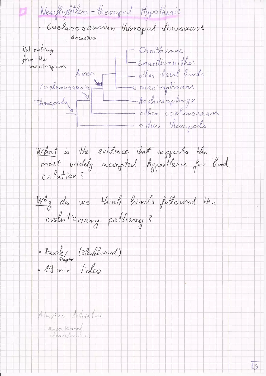 Bird Evolution - Page 4