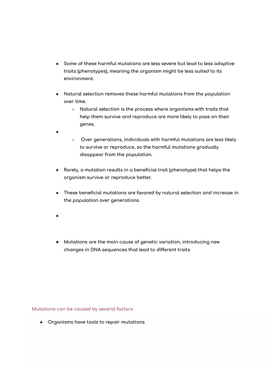 Bio Test Meiosis and Mutation - Page 11