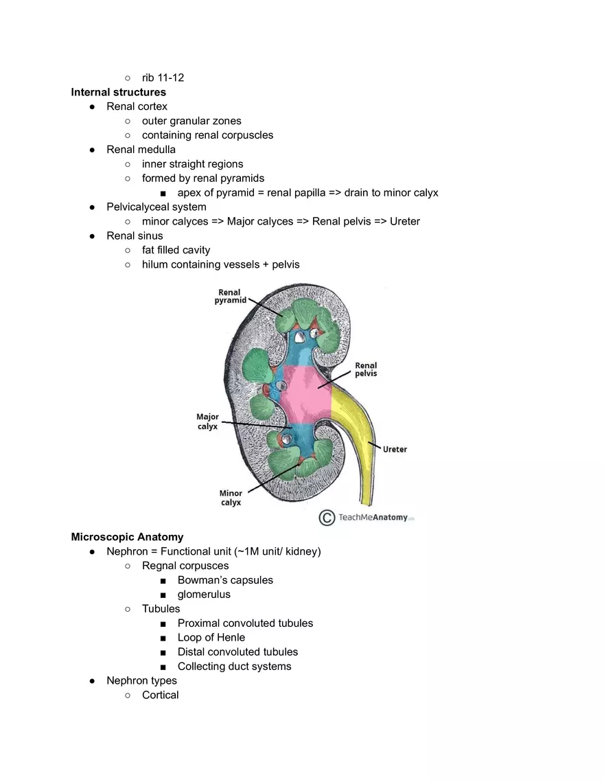 Kidney Function - Page 3