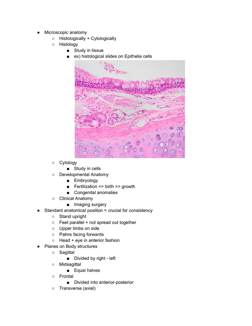 Anatomy Week #1 - Page 2