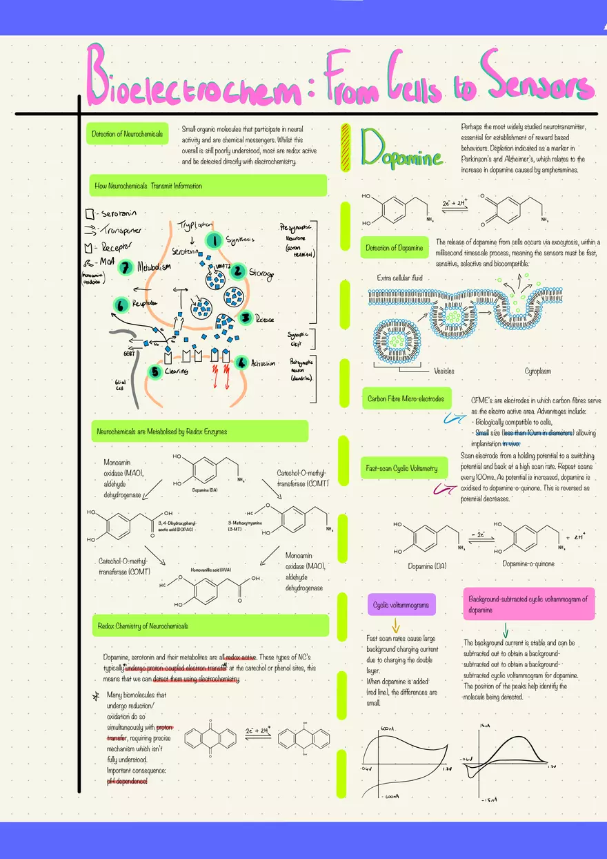 Bioelectrochem: From Cells to Sensors - Page 1