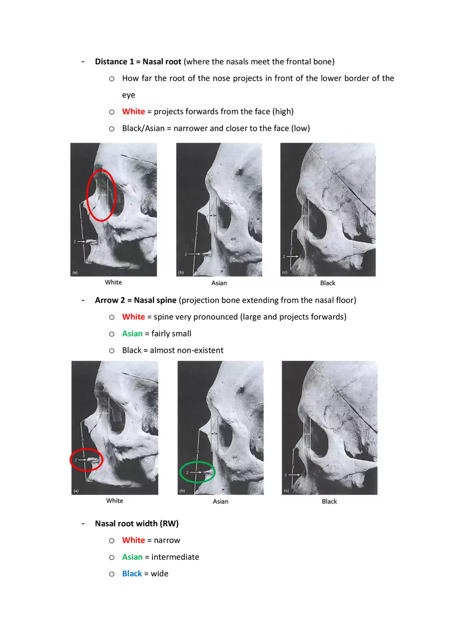 Attribution of Ancestry - Page 7