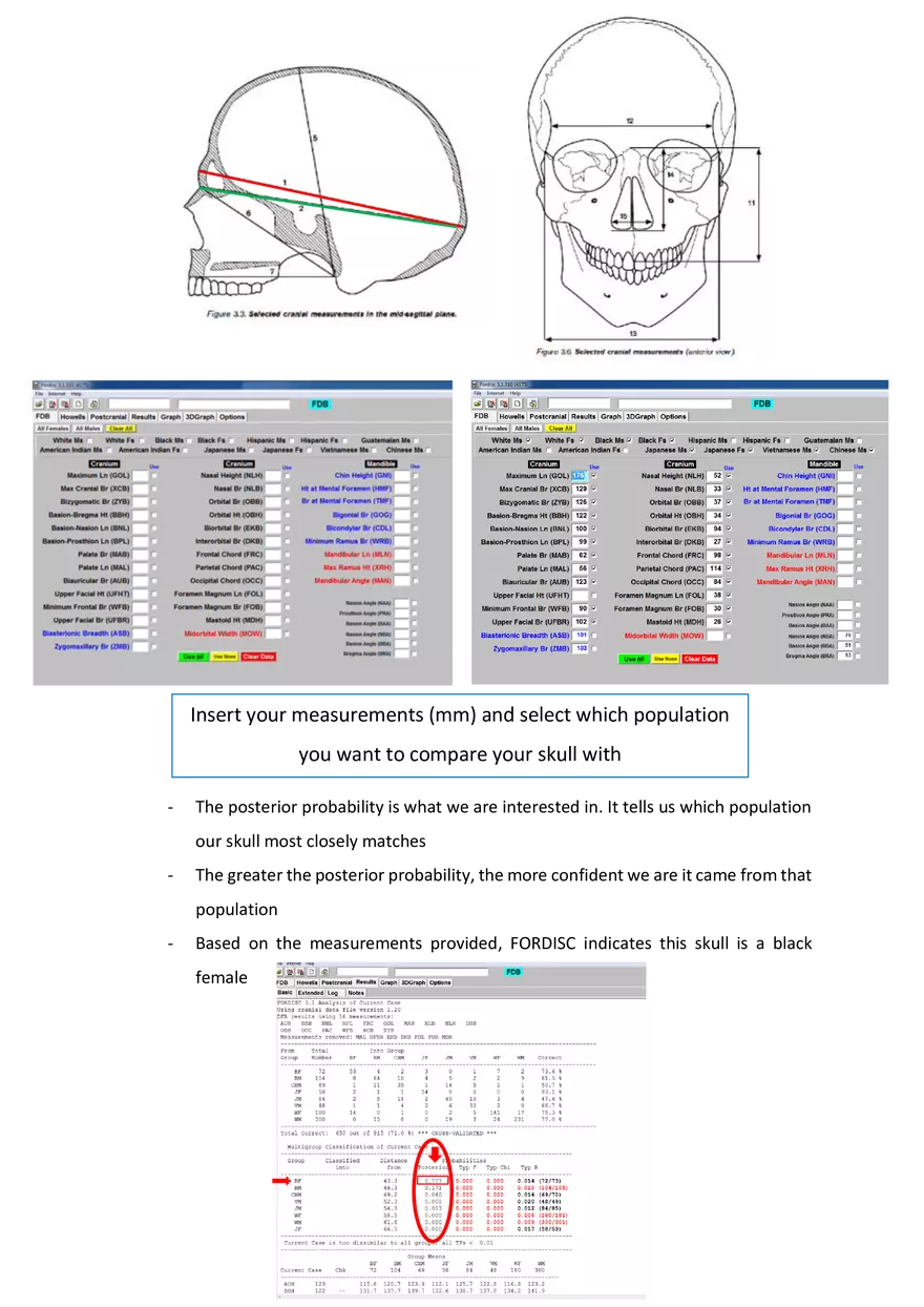 Attribution of Ancestry - Page 4