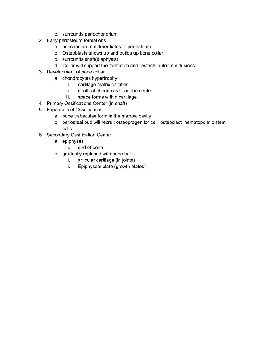 Compact and Spongy Bone - Page 3