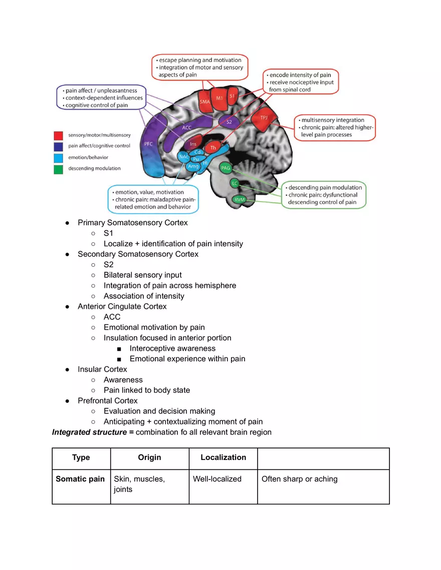 Pain Receptor 1 Lecture 2 - Page 2