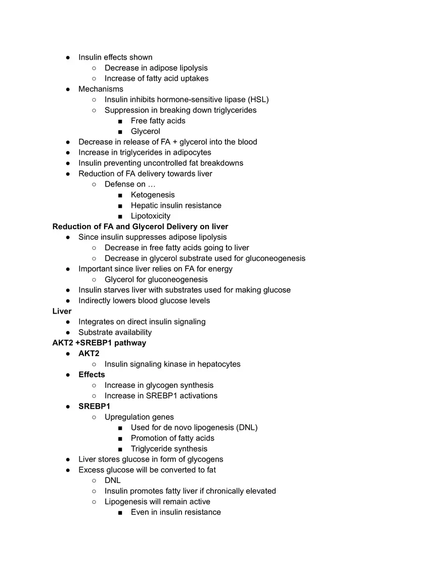 Insuline Metabolism - Page 2