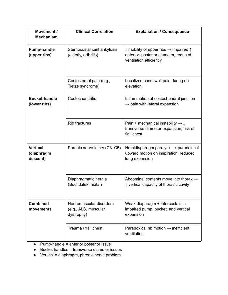 Thoracic Cage Dynamics - Page 2