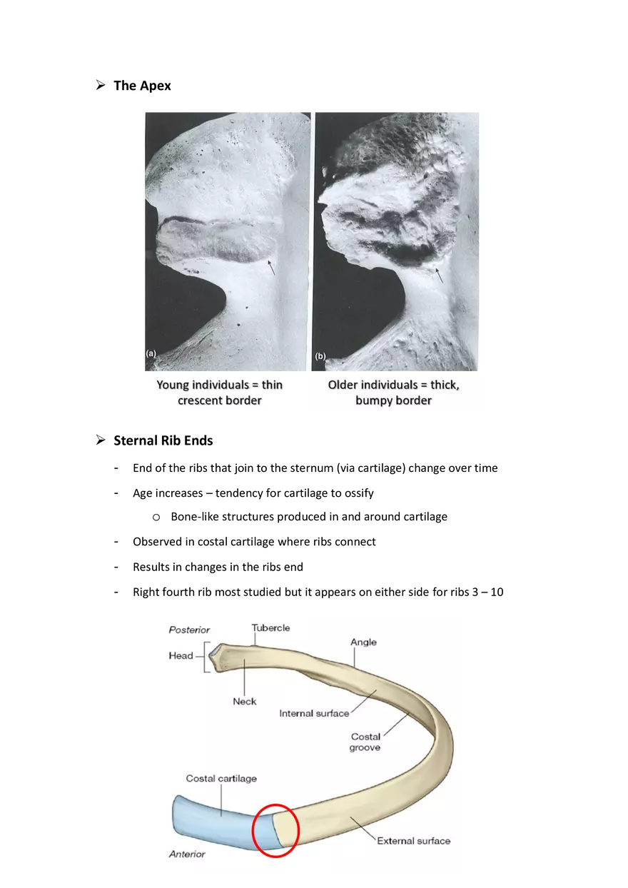 Estimation of Age at Death: The Deteriorating Skeleton - Page 11