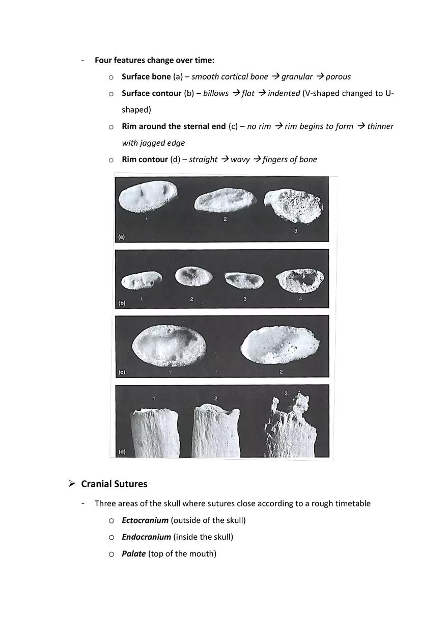 Estimation of Age at Death: The Deteriorating Skeleton - Page 12