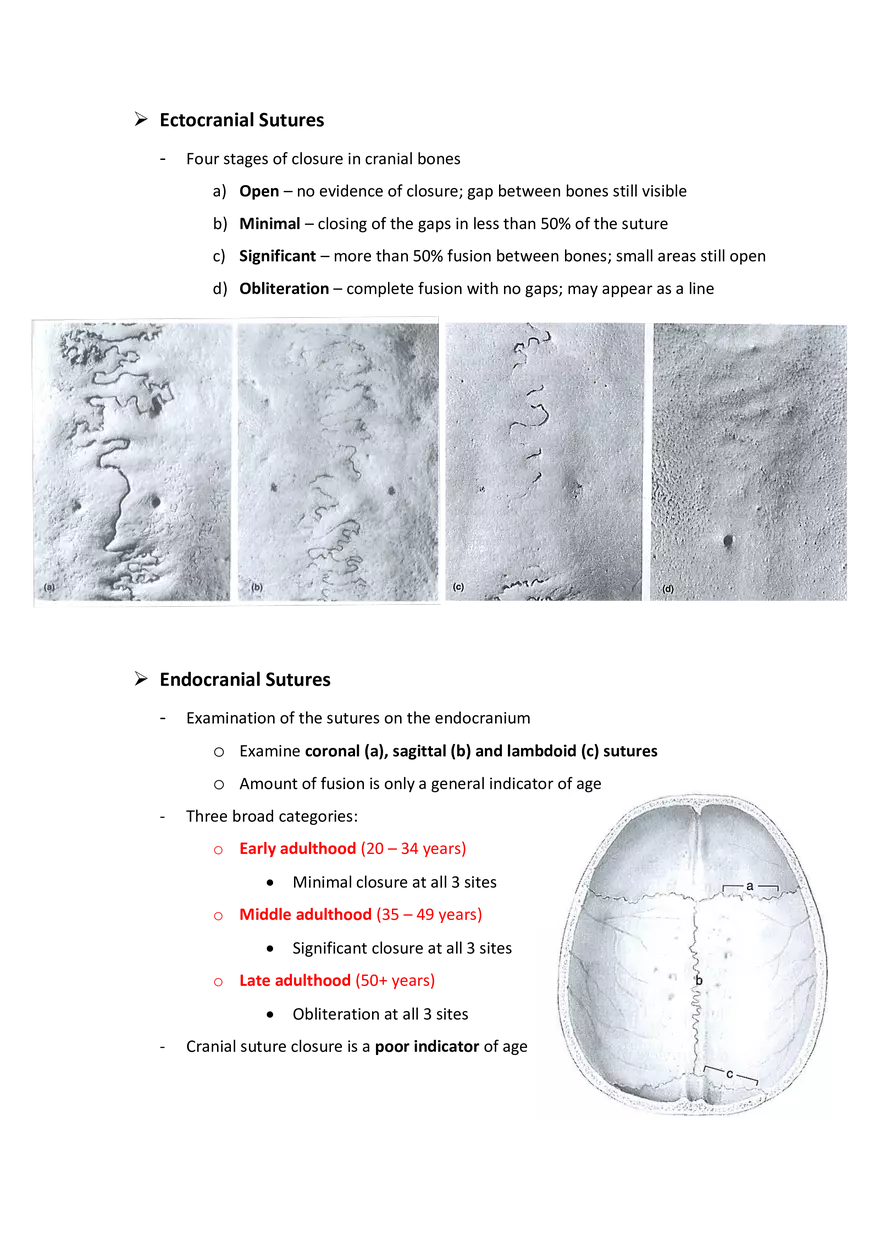Estimation of Age at Death: The Deteriorating Skeleton - Page 3
