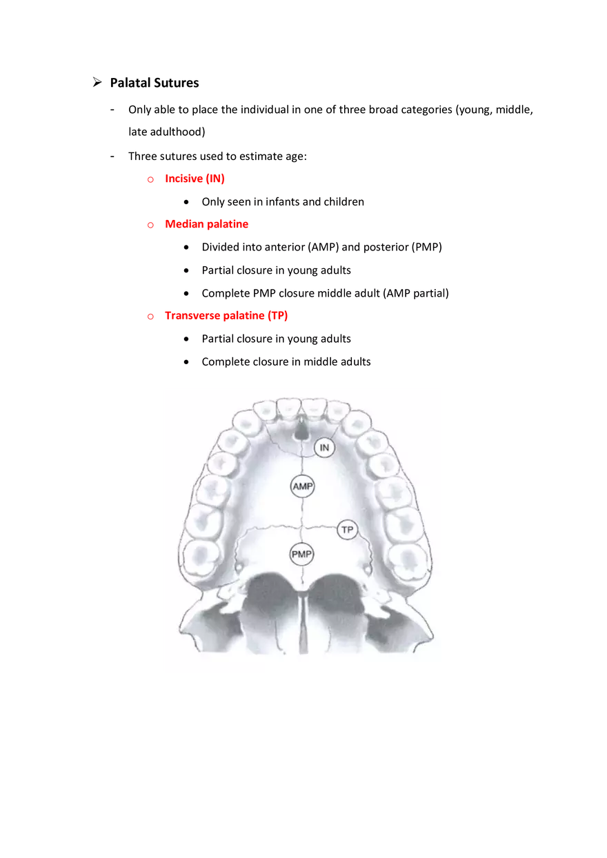 Estimation of Age at Death: The Deteriorating Skeleton - Page 4