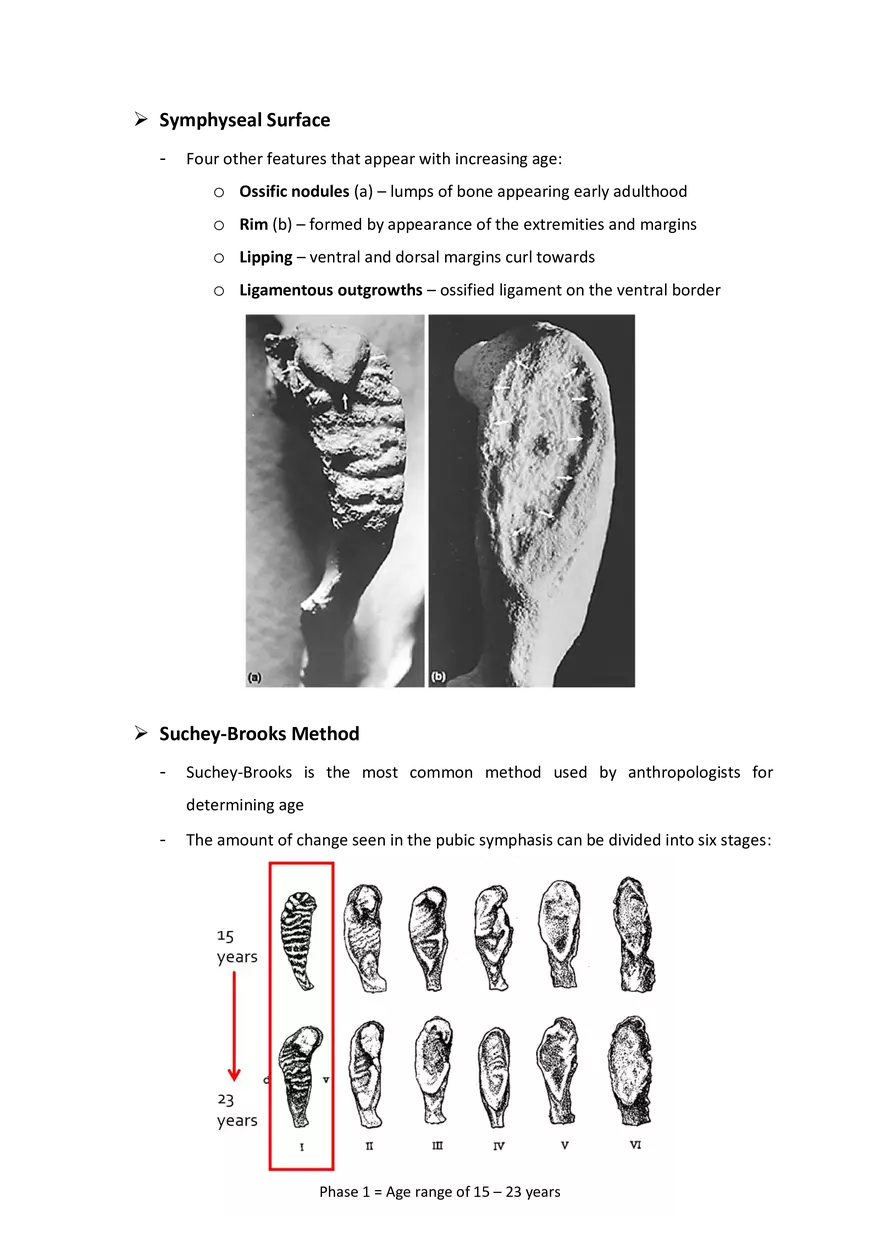 Estimation of Age at Death: The Deteriorating Skeleton - Page 6