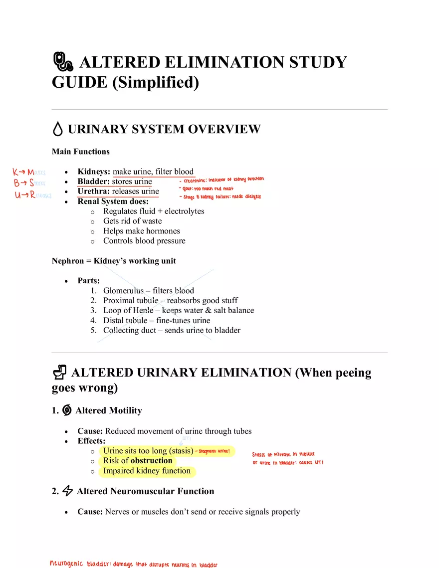 Altered Elimination Study Guide - Page 1