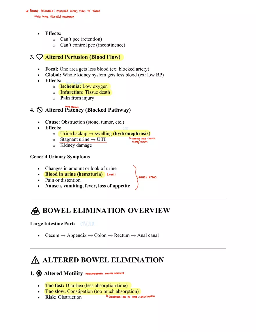 Altered Elimination Study Guide - Page 2