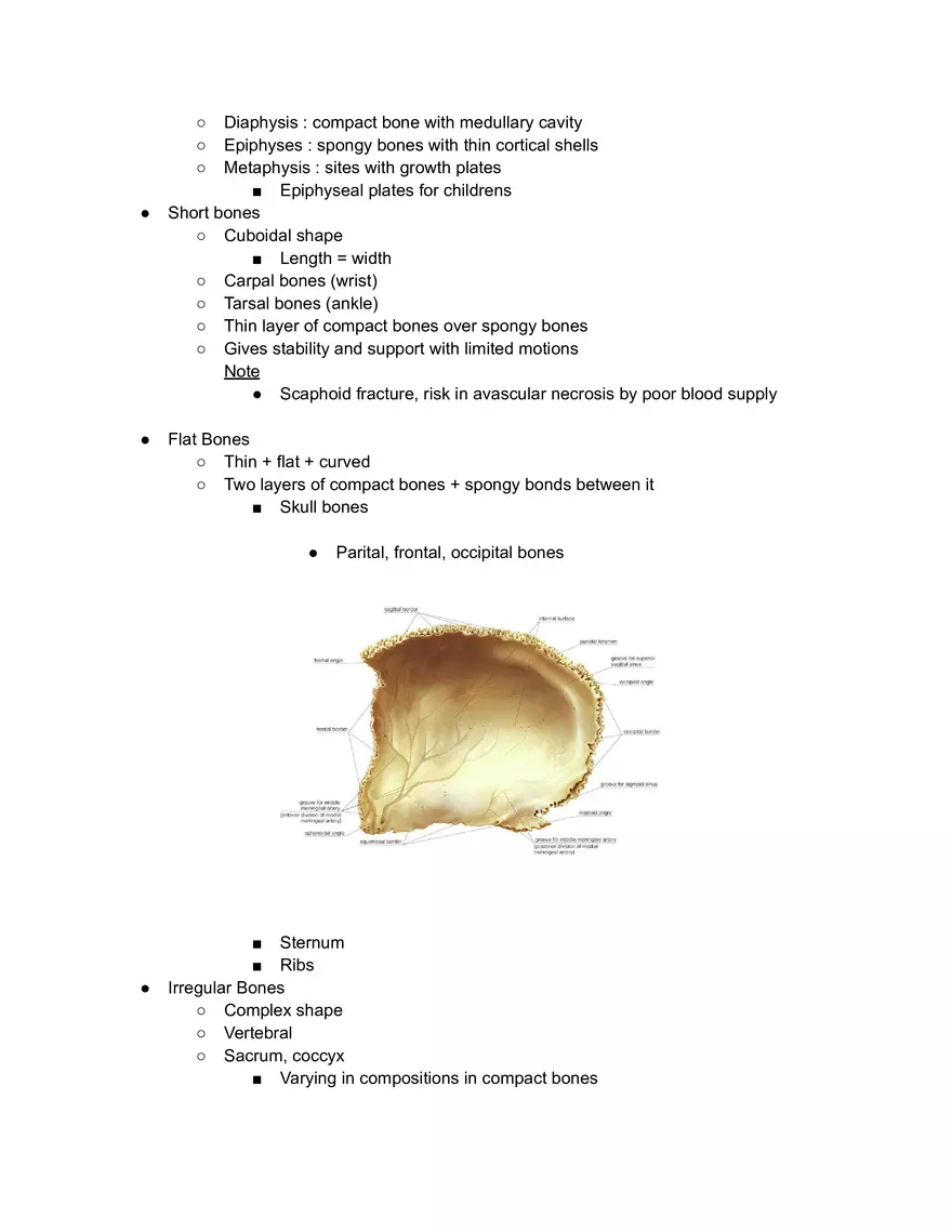 Anatomy Reading 1-1 - Page 2