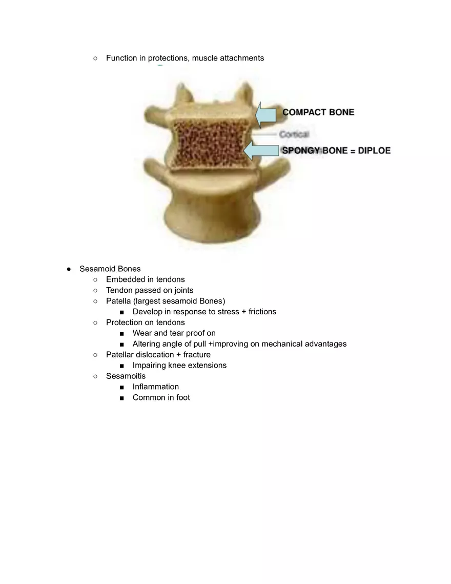 Anatomy Reading 1-1 - Page 3