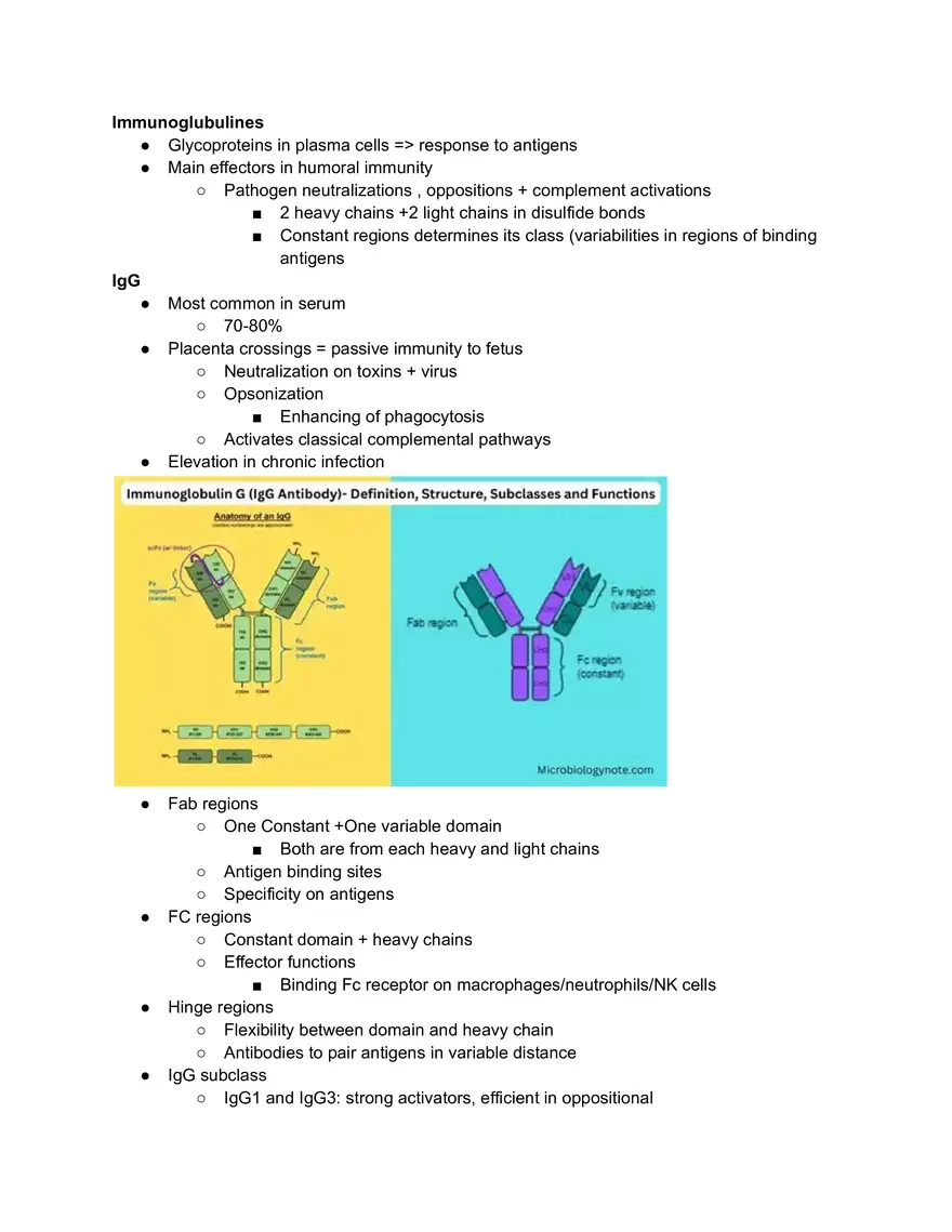 Immunoglobulines IgG-IgD - Page 1