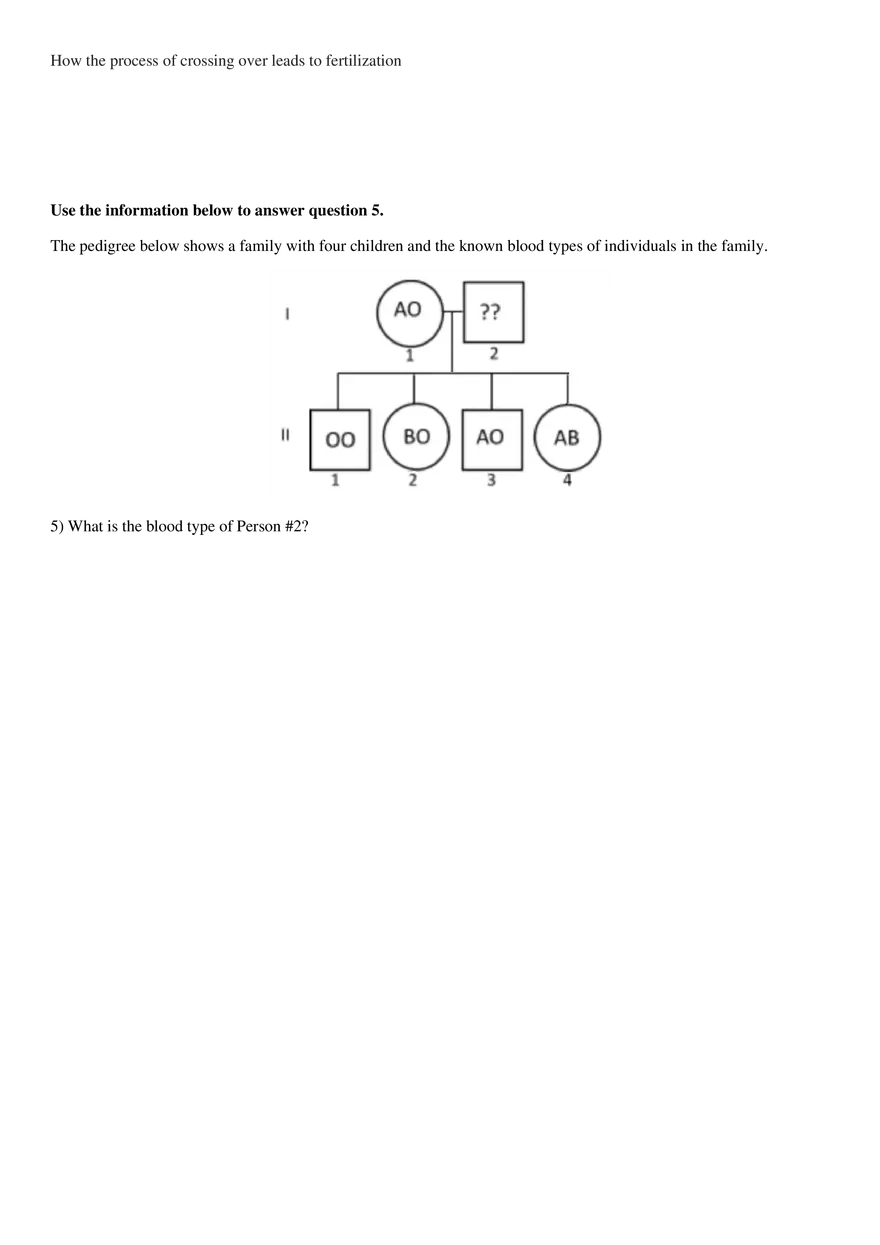 Biology EOC Mega-Review Packet - Page 4