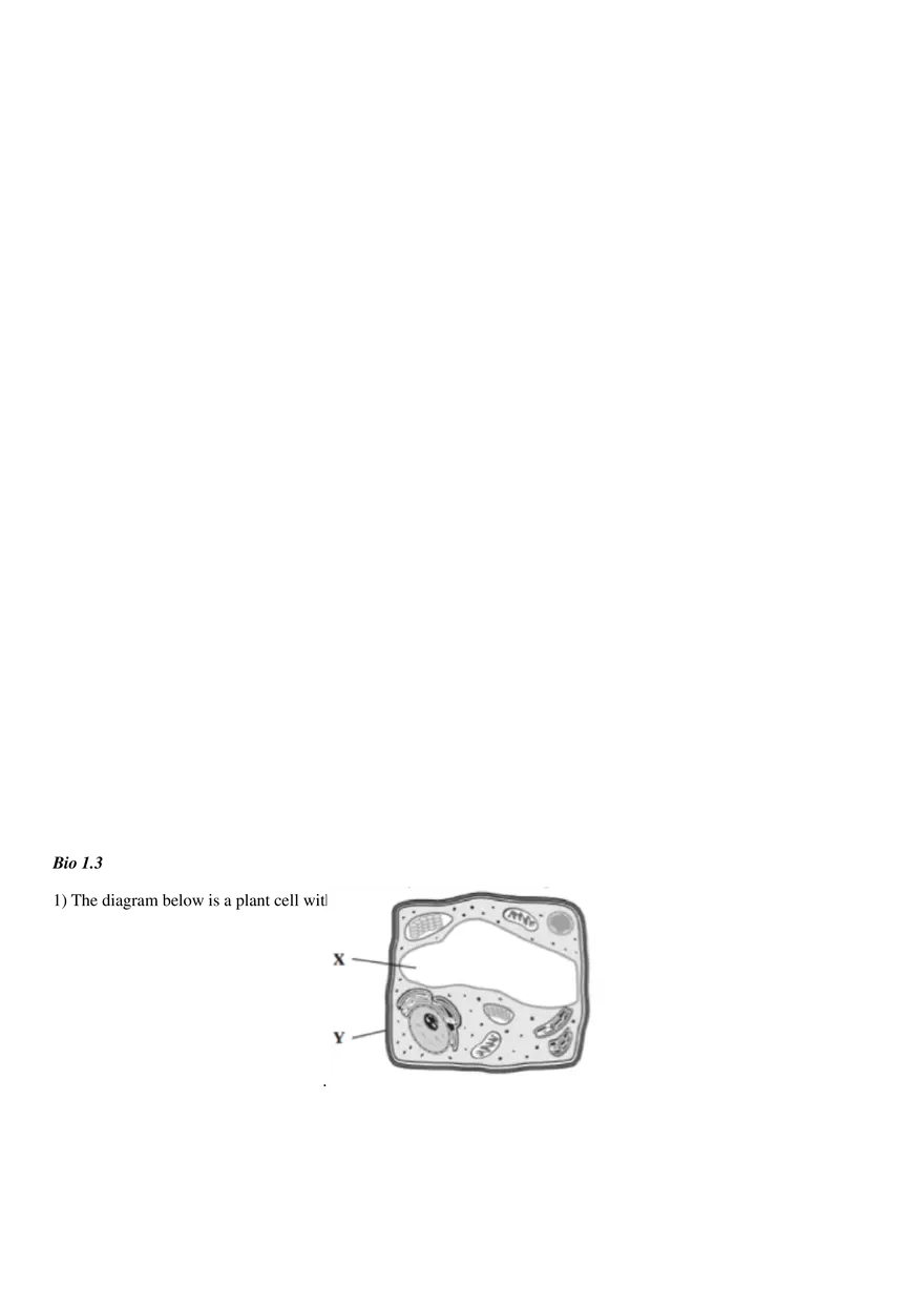 Biology EOC Mega-Review Packet - Page 5