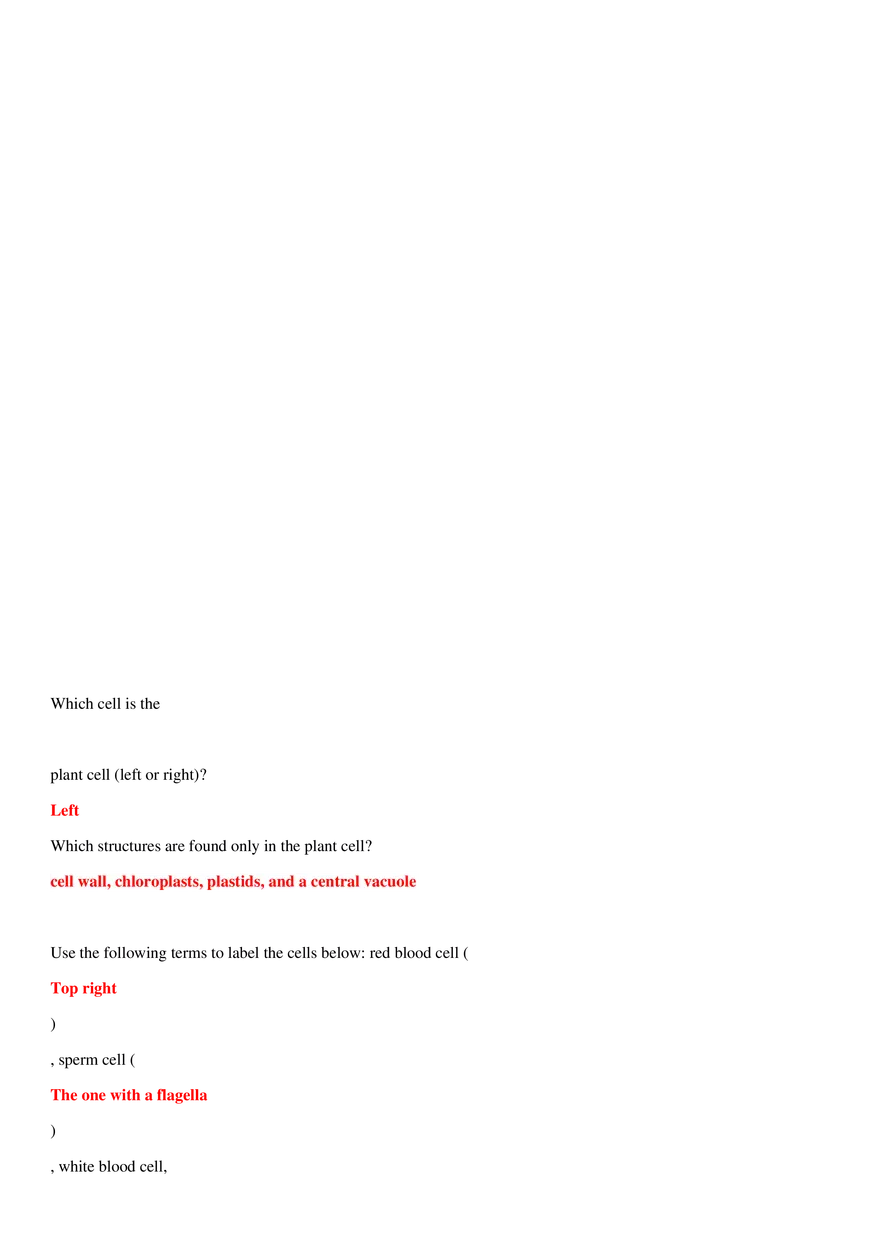Biology EOC Review and Study Guide - Page 46