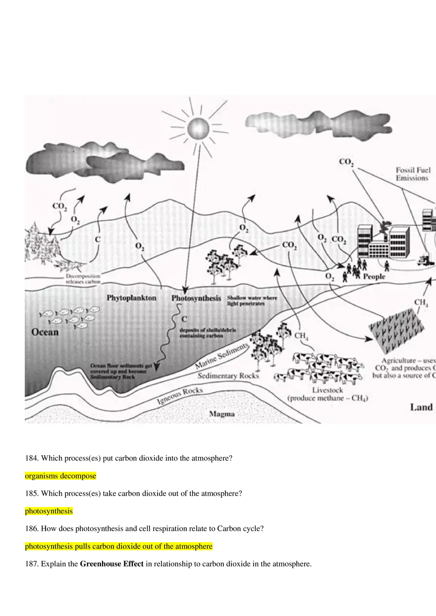 Biology EOC Review and Study Guide - Page 83