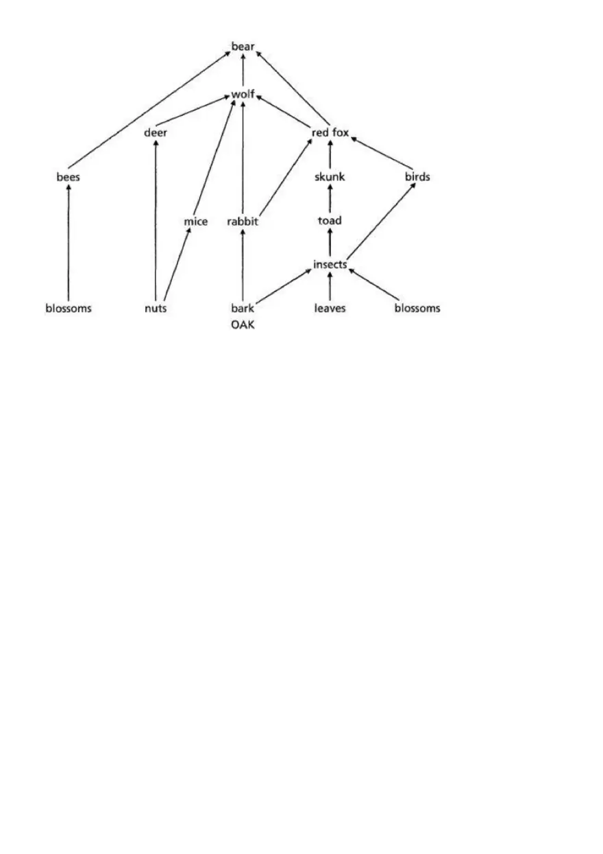 Biology EOC Review and Study Guide - Page 87