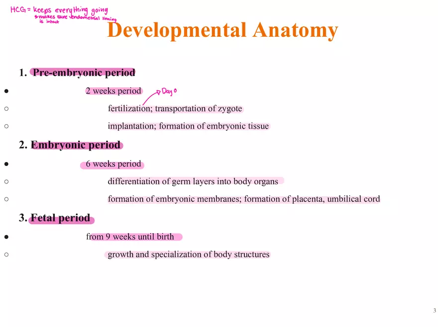Unit 12: Lesson 1 Reproductive System - Page 10