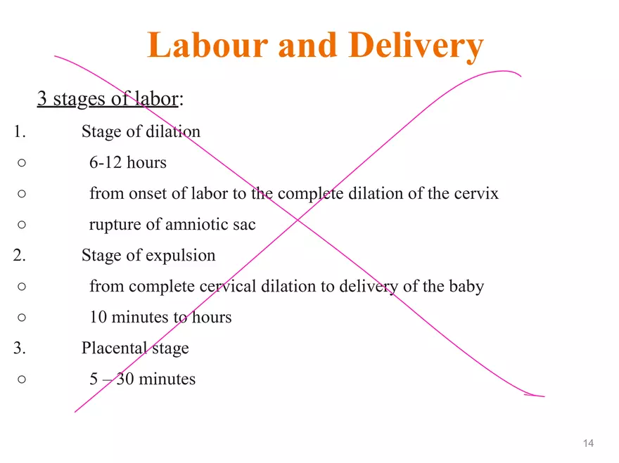Unit 12: Lesson 1 Reproductive System - Page 22