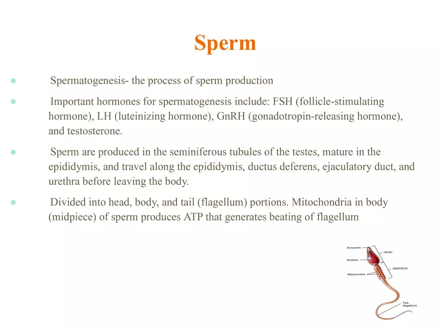 Unit 12: Lesson 1 Reproductive System - Page 29