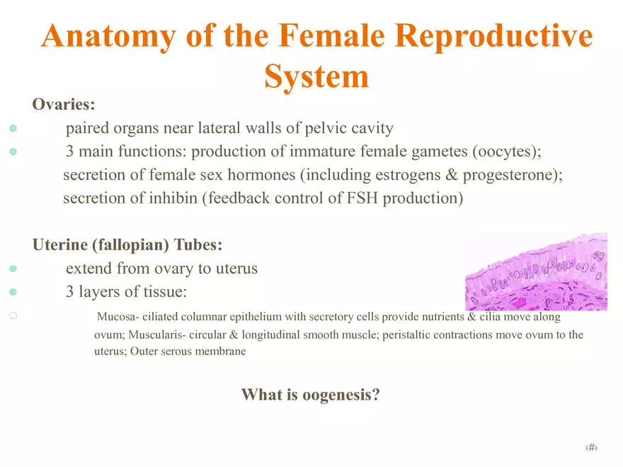 Unit 12: Lesson 1 Reproductive System - Page 32