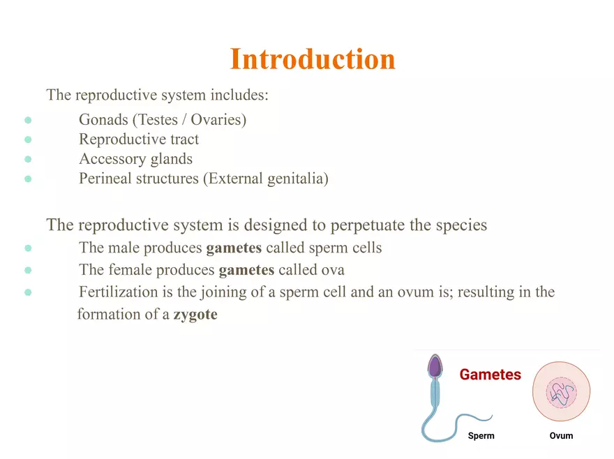 Unit 12: Lesson 1 Reproductive System - Page 2