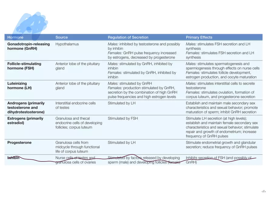 Unit 12: Lesson 1 Reproductive System - Page 6