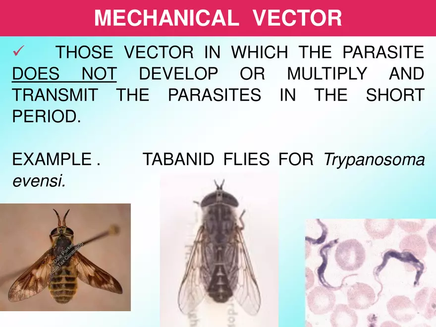 Host & Different Types Of Host - Page 14
