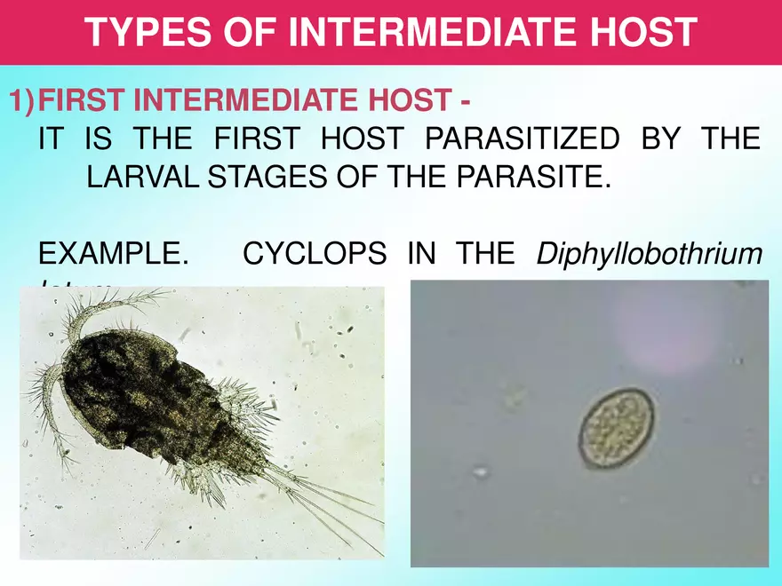 Host & Different Types Of Host - Page 20