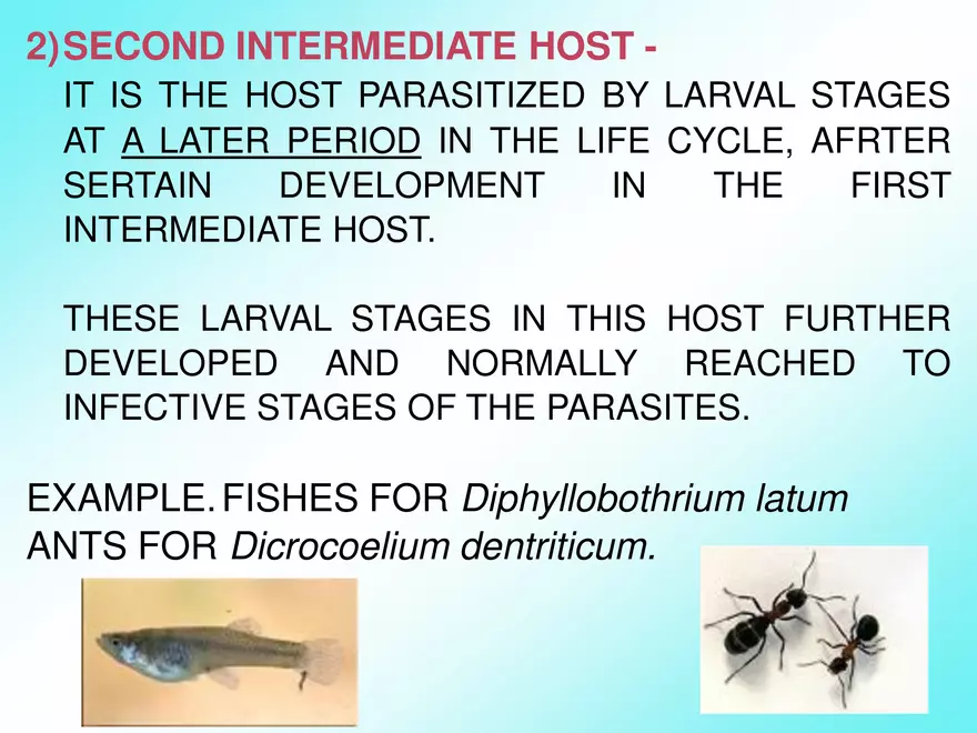Host & Different Types Of Host - Page 21