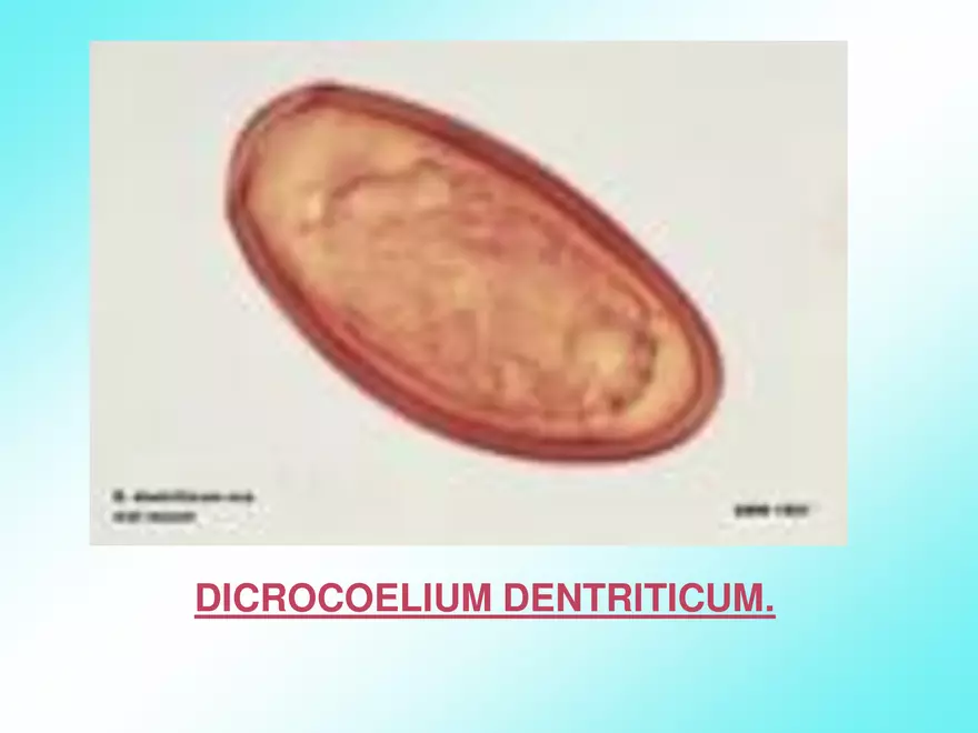 Host & Different Types Of Host - Page 22