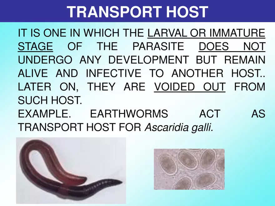 Host & Different Types Of Host - Page 4