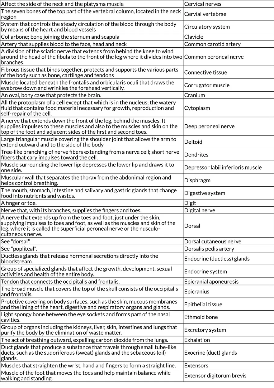 General Anatomy and Physiology: Muscles, Arteries, and Metabolism (Chapter 6) - Page 2