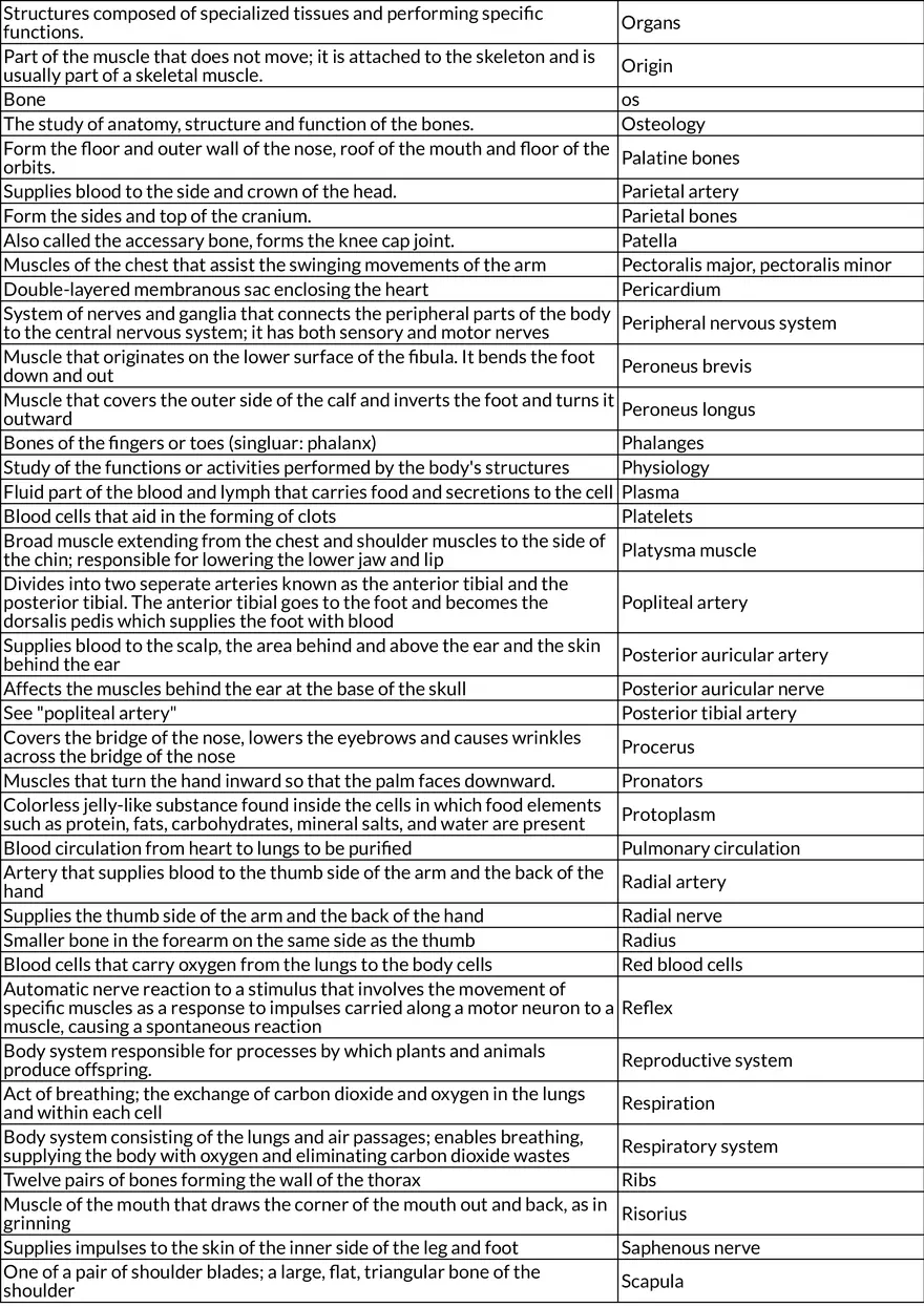 General Anatomy and Physiology: Muscles, Arteries, and Metabolism (Chapter 6) - Page 5